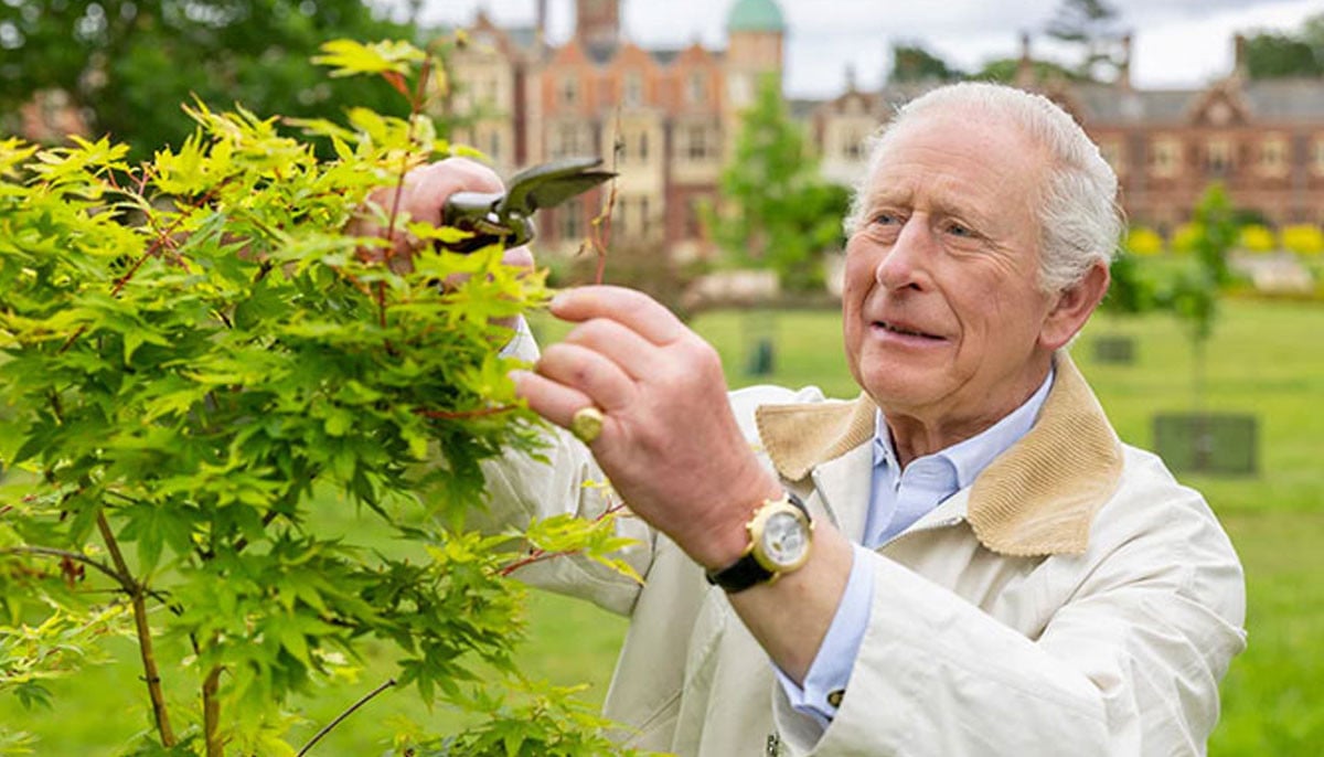 King Charles unveils major tribute to natural world after defying pressure over US visit 