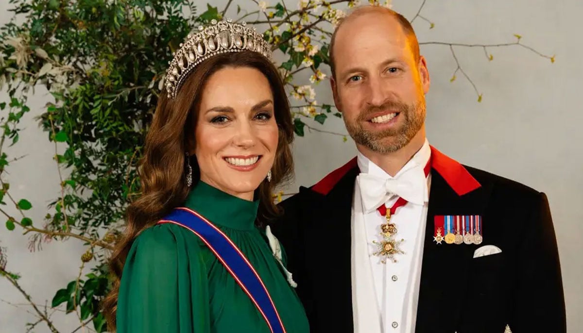 Prince William and Kate Middleton stunning portrait: Who captured the viral image? 