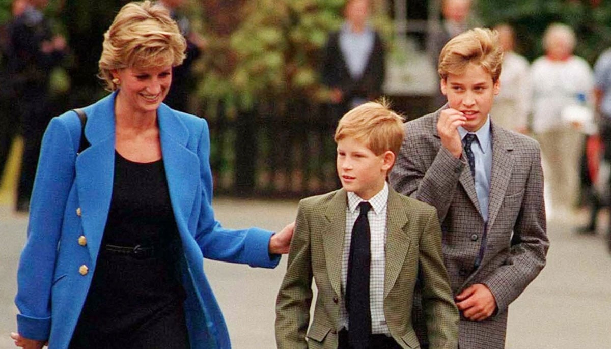 Princess Diana was always concerned about Prince Harry's future role amid William special privileges