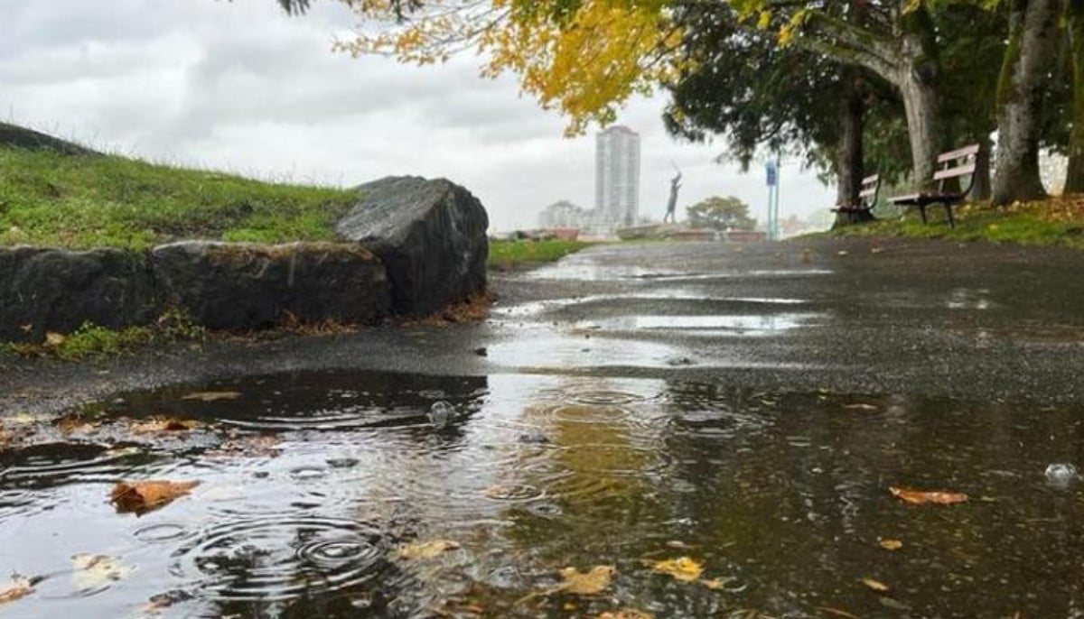 Nanaimo weather improves as BC lifts flood advisories following days of heavy rainfall