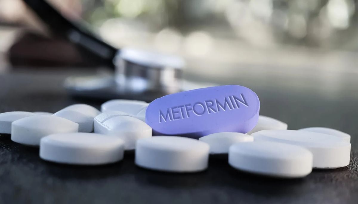 Metformin’s hidden brain pathway uncovered after 60 years