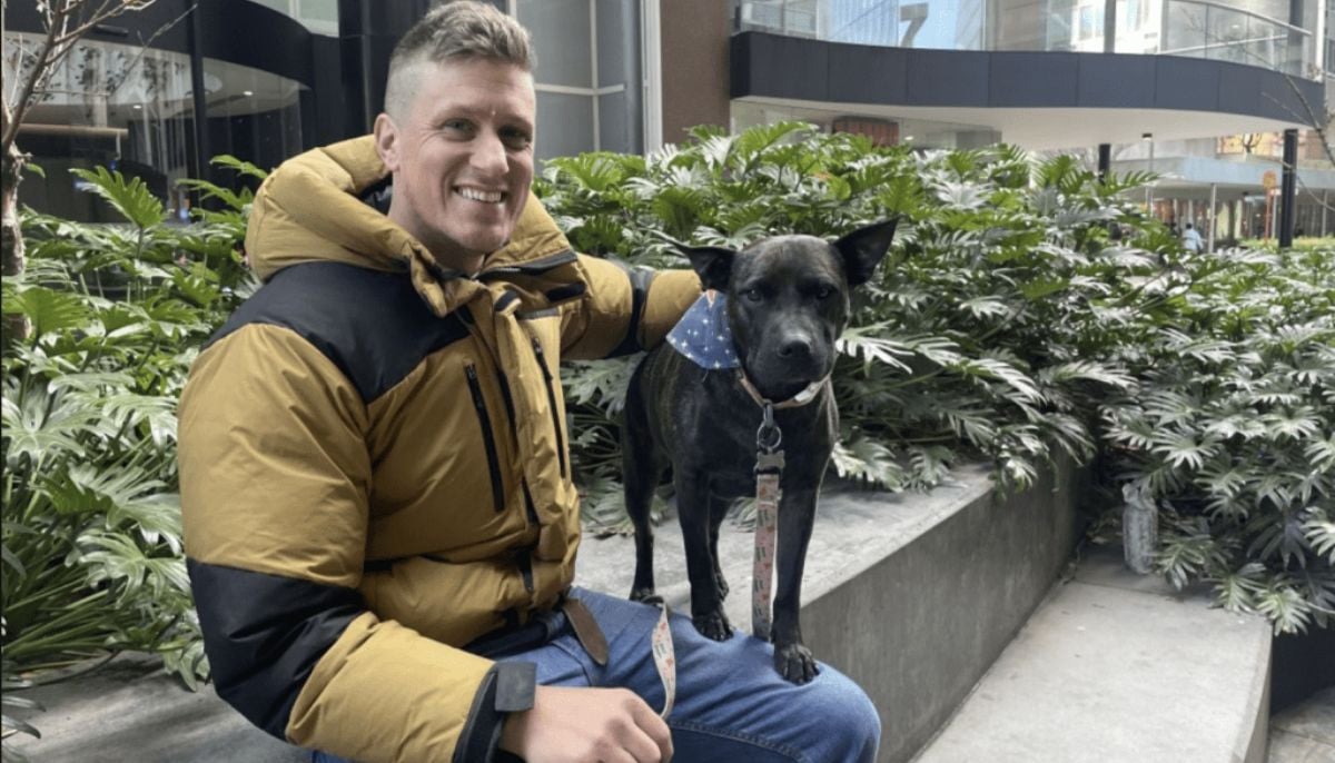  Paul Conyngham uses ChatGPT, AlphaFold to develop a life-saving cancer vaccine for his dog 