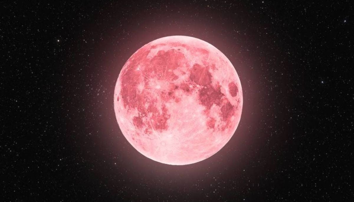 April’s Pink Moon 2026:  How to see the full moon in all its glory