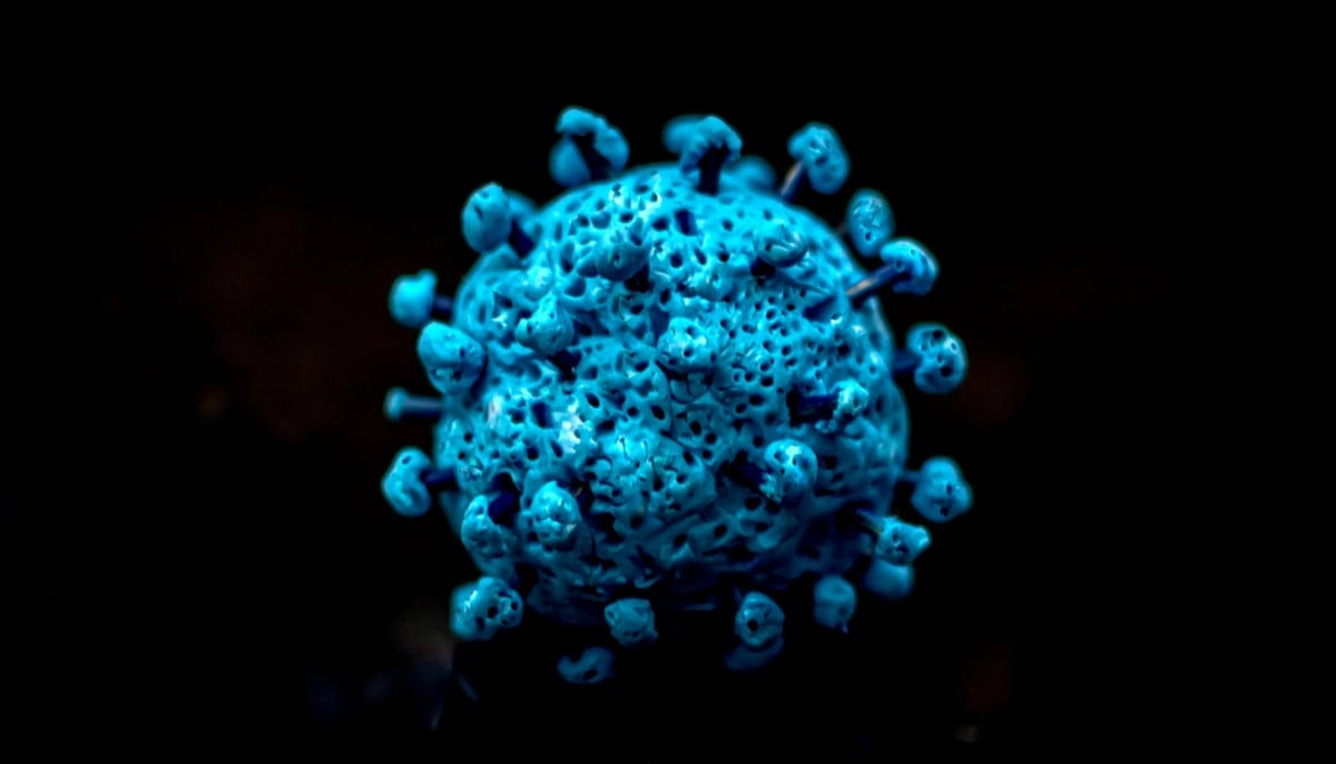 Cicada COVID variant reaches Ontario with cases confirmed as experts urge calm over new strain