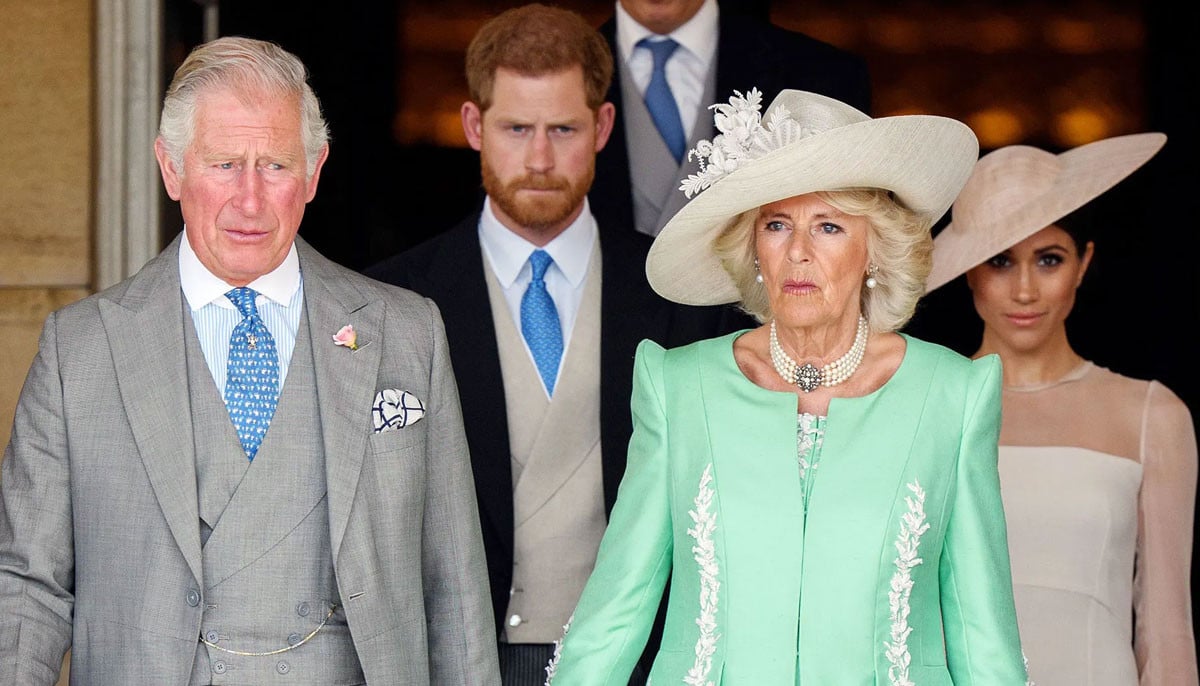 Prince Harry worried Queen Camilla could block reunion with King Charles