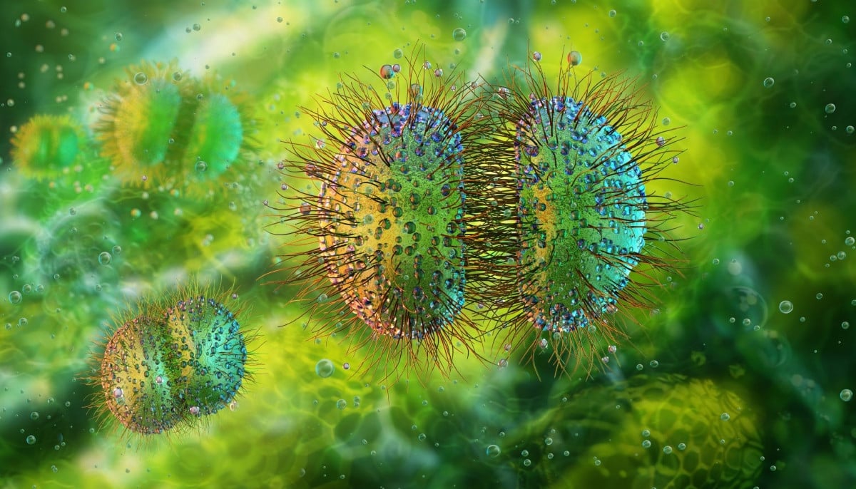 Meningococcal disease, dangerous bacterial infection, hits decade high in Canada