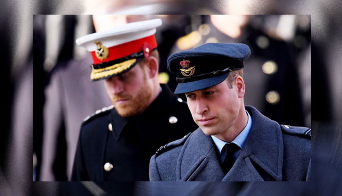 Prince William once started a fight with Harry over a missed present