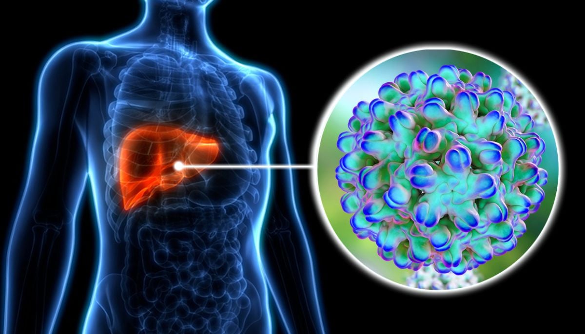 New drug in clinical trial may finally treat hepatitis E 