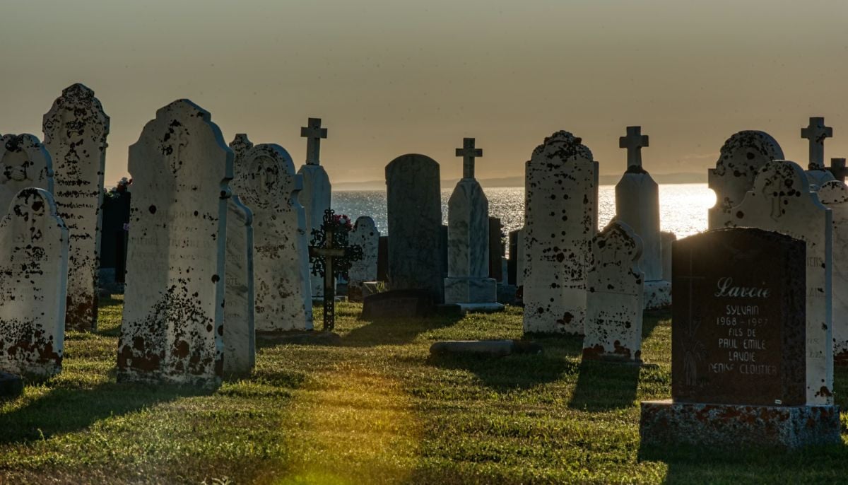 Science reveals the most painful ways to die