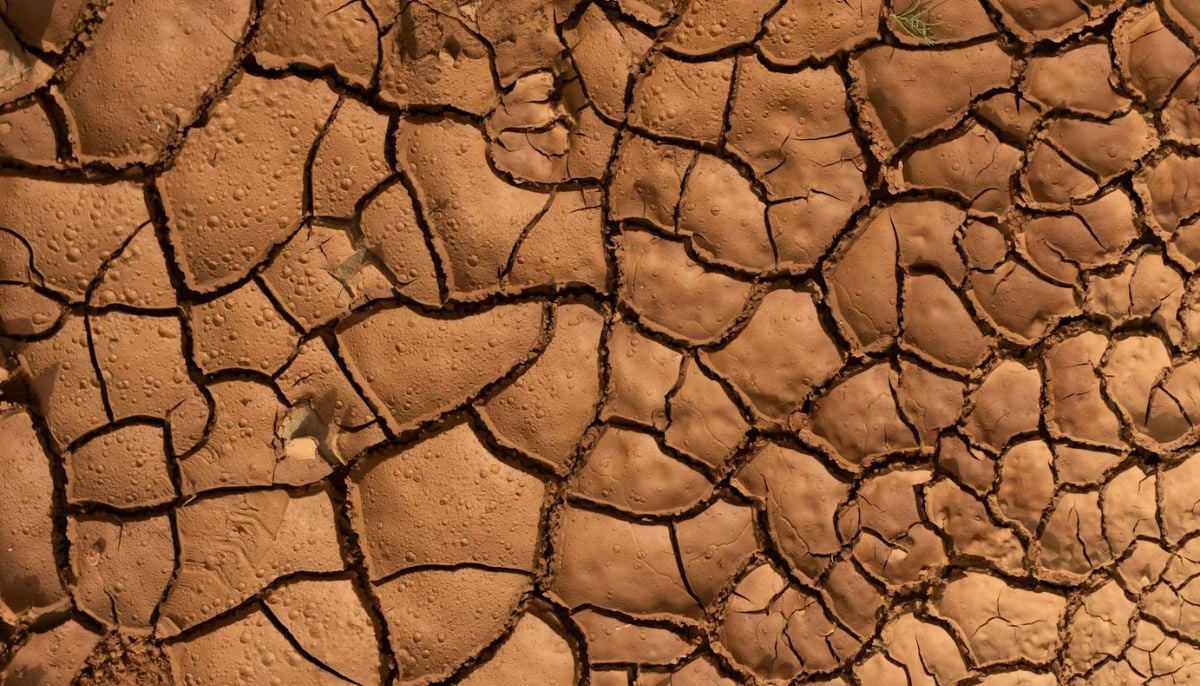 Beyond the hype: Why scientists reject ‘Super El Nino’ as a useful metric