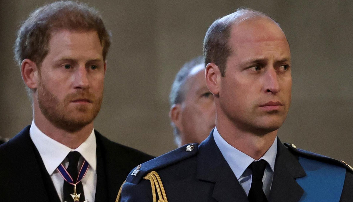 Prince William’s role under spotlight amid Prince Harry’s comeback plans