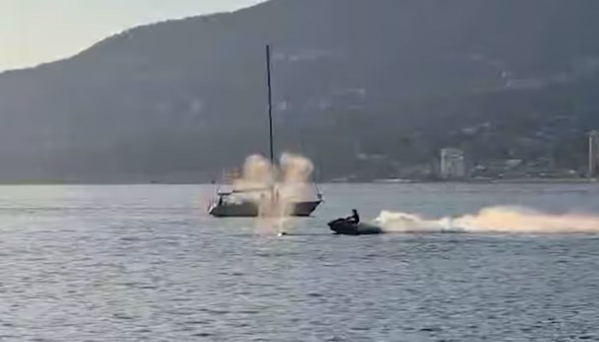 Watch: Jet skier collides with grey whale near Vancouver’s Stanley Park