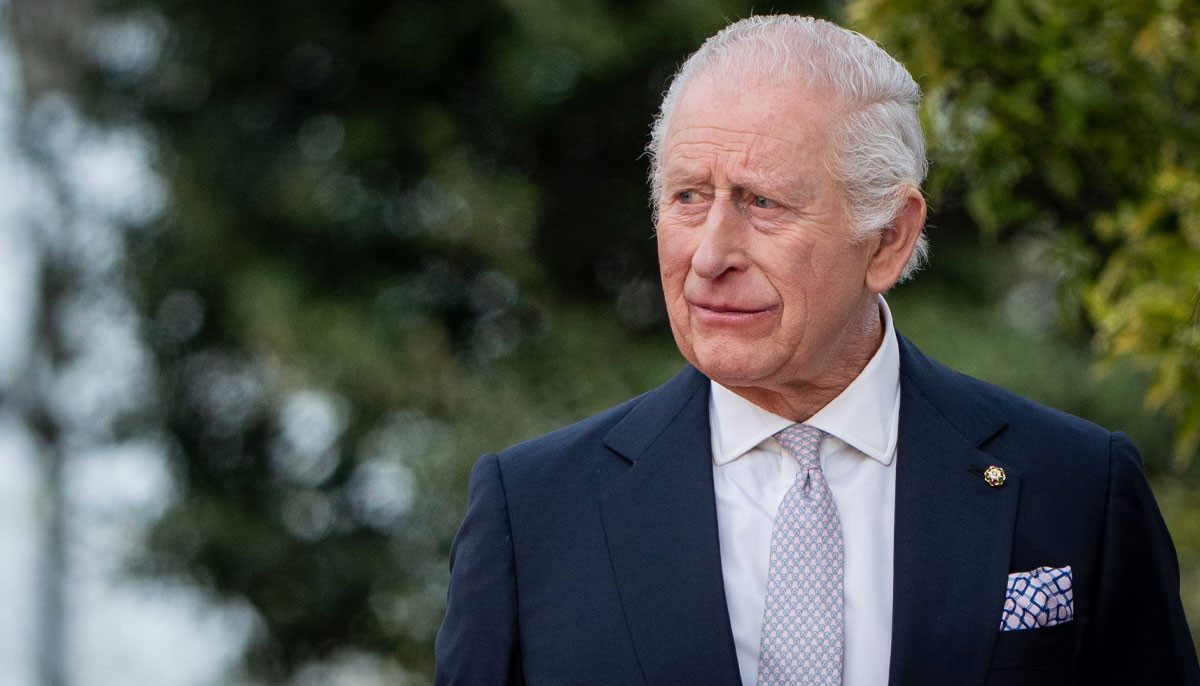 King Charles' royal carriage horses take spotlight ahead of State Opening of Parliament