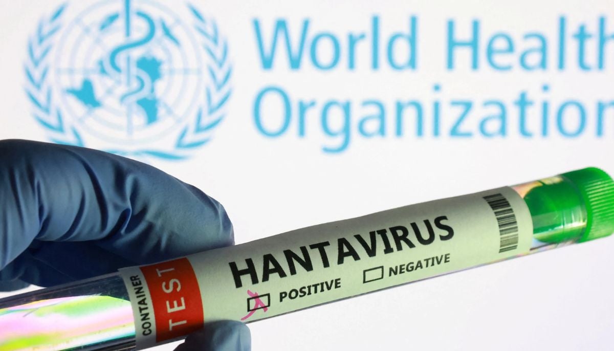 Hantavirus outbreak: Could it be new pandemic threat like COVID? Experts weigh in