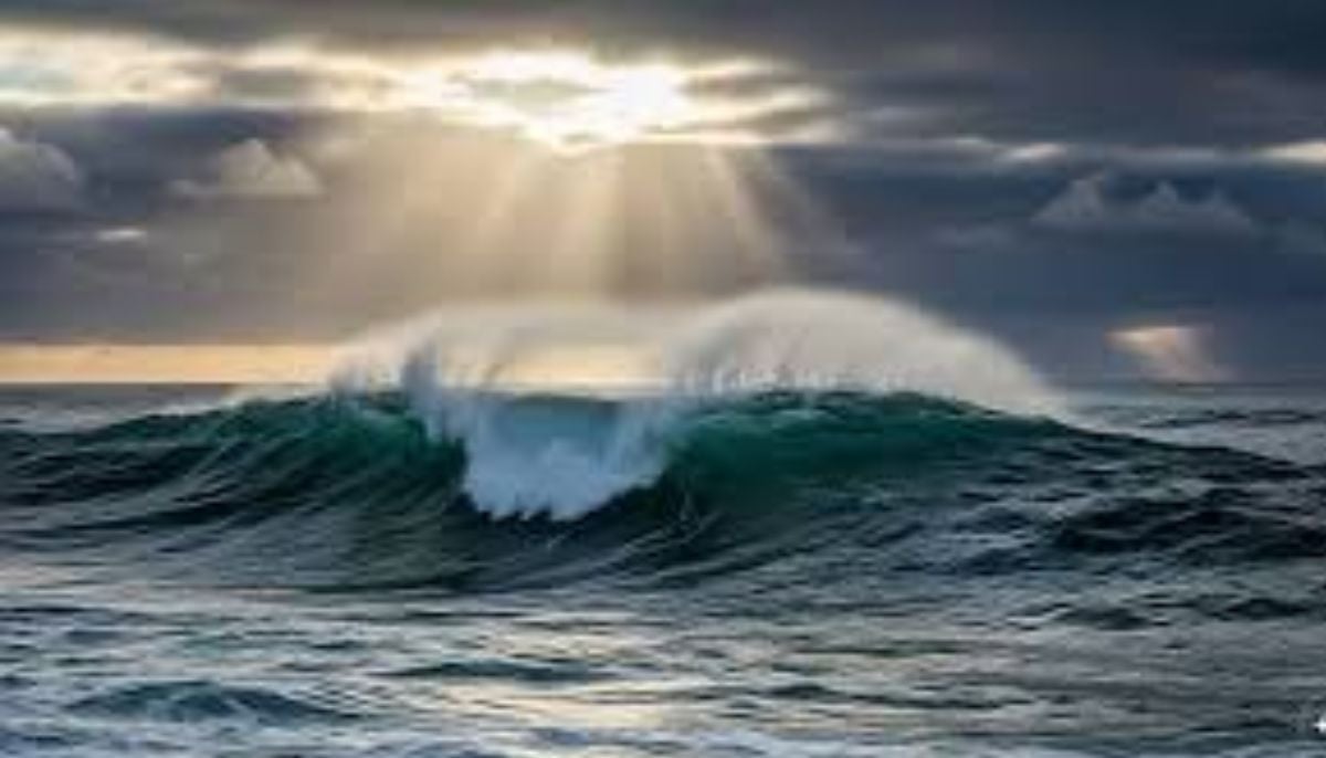 Tragedy in Western Australia: Man dies after shark bite off the coast of Perth