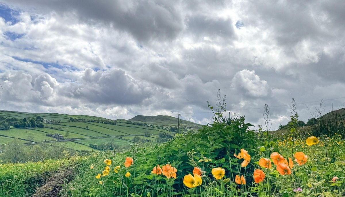 UK braces for a late spring heatwave: Here’s what you need to know