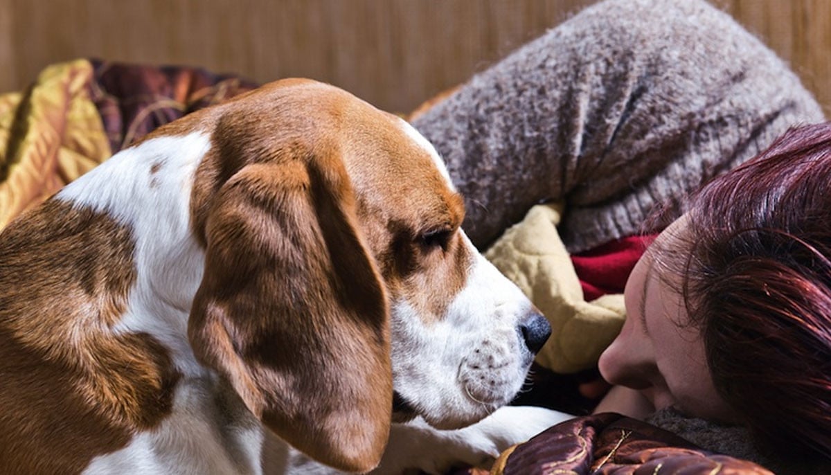 'Never in million years': Dog owner looks back at beloved pet nearly losing life   