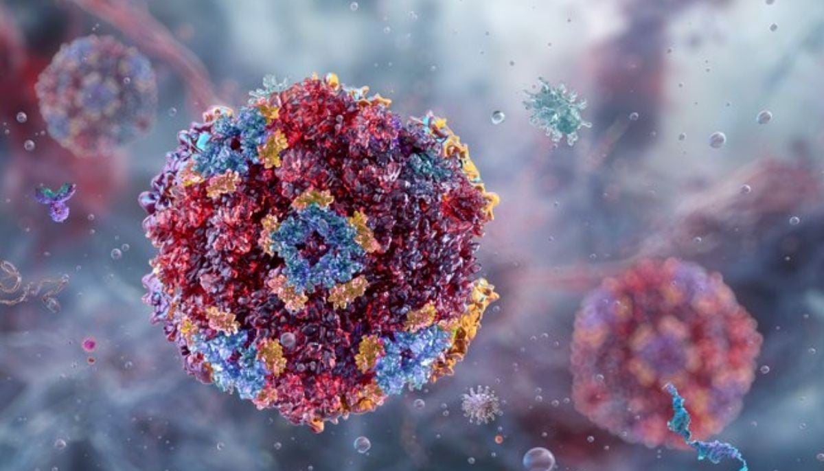 Vomiting virus spreading across US: Key symptoms and precautions to take now