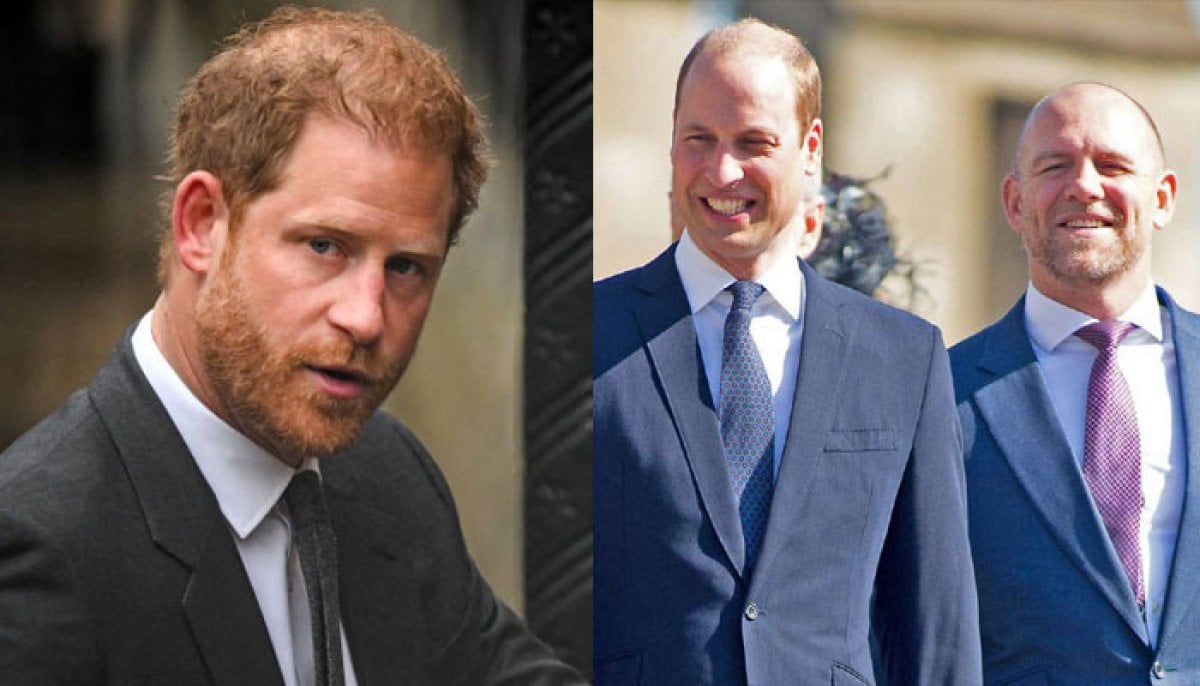 Mike Tindall knows ‘how to draw line’ unlike Prince Harry, says exprrt