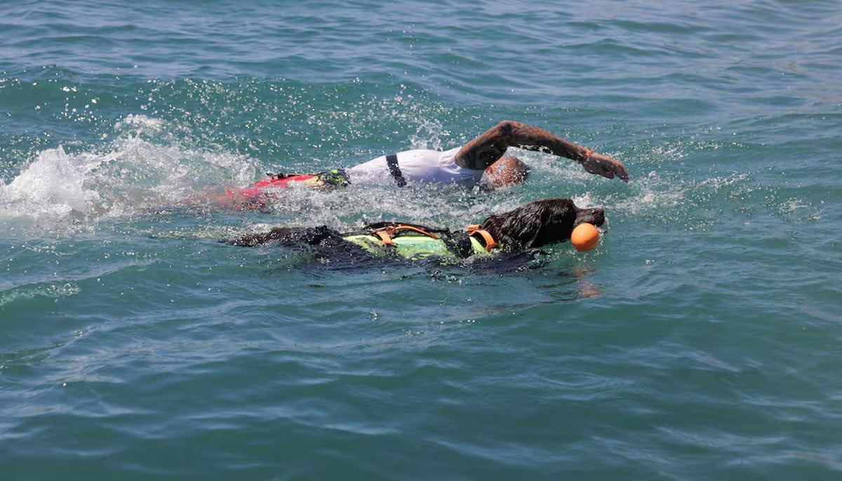 Dramatic rescue as hero dog battles rough waves for 30 minutes at sea 