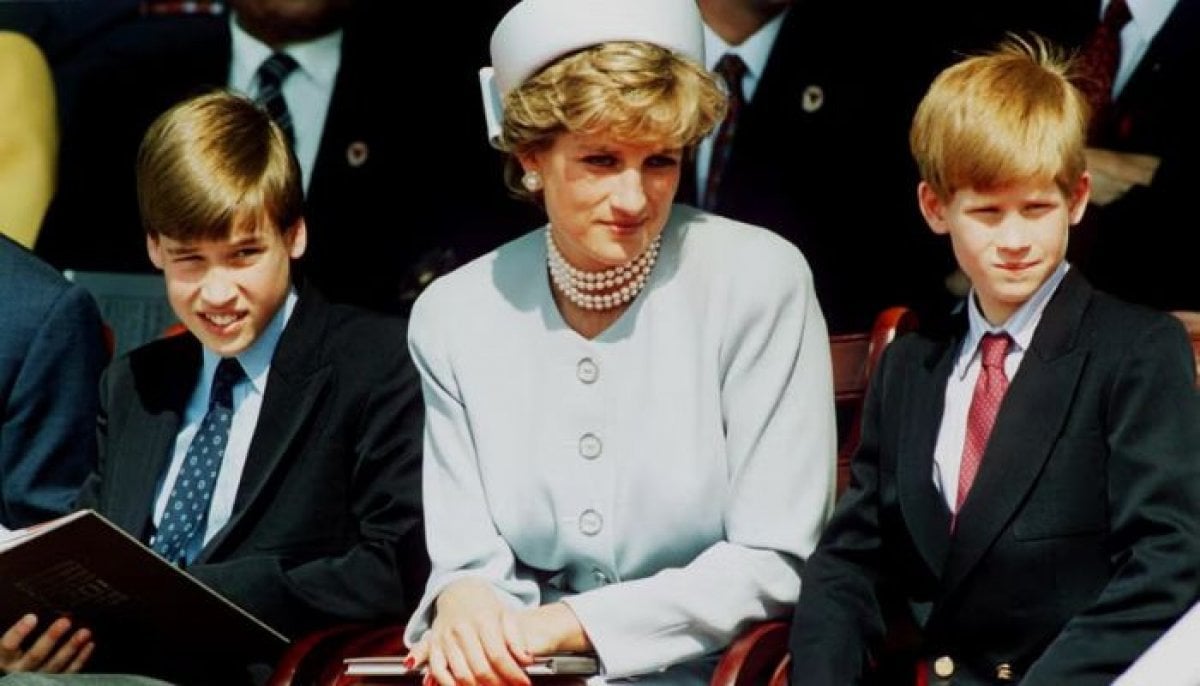 Princess Diana wanted to avoid ‘fracture’ between Prince William, Prince Harry