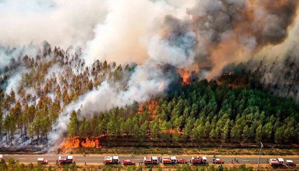 Europe on ‘red alert’ as wildfires rage across Southern France amid record temperatures
