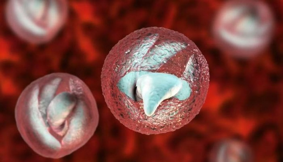 Explosive diarrhoea parasite spreads across US with cases reported in 17 states
