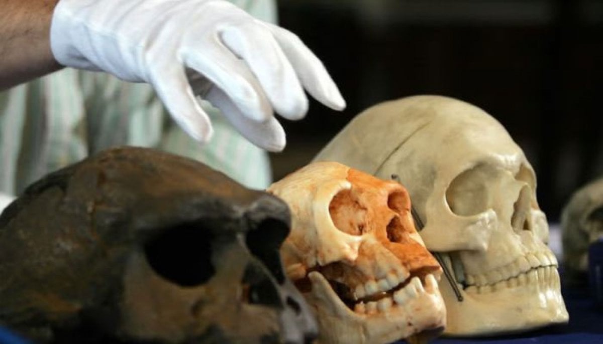 Did 'hobbit' human species ever hunt or use fire? New study challenges long-held assumptions