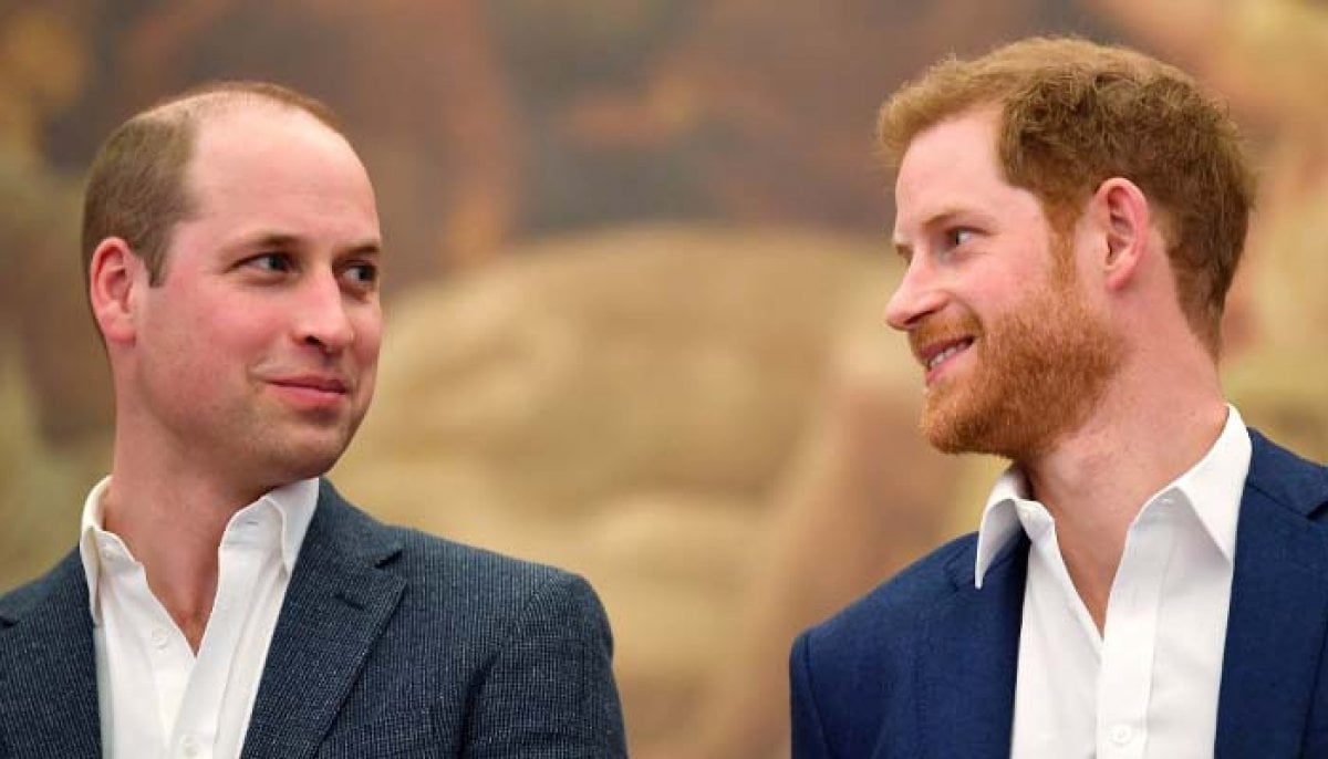 Prince William, Prince Harry's former aide breaks silence on royal brothers' feud