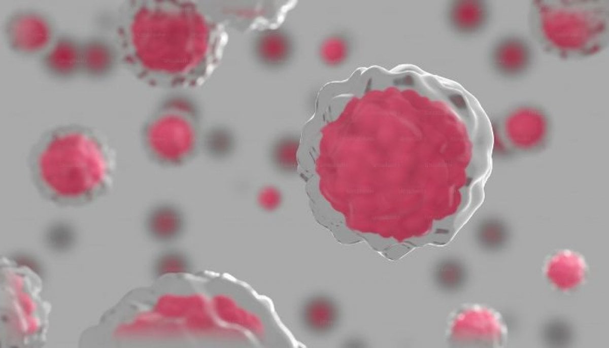 Study reveals human cells that compute like chips 
