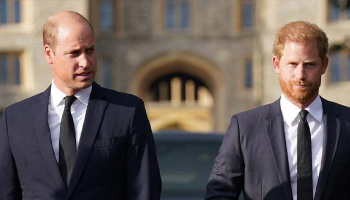 Prince William, Prince Harry share closes encounter in year