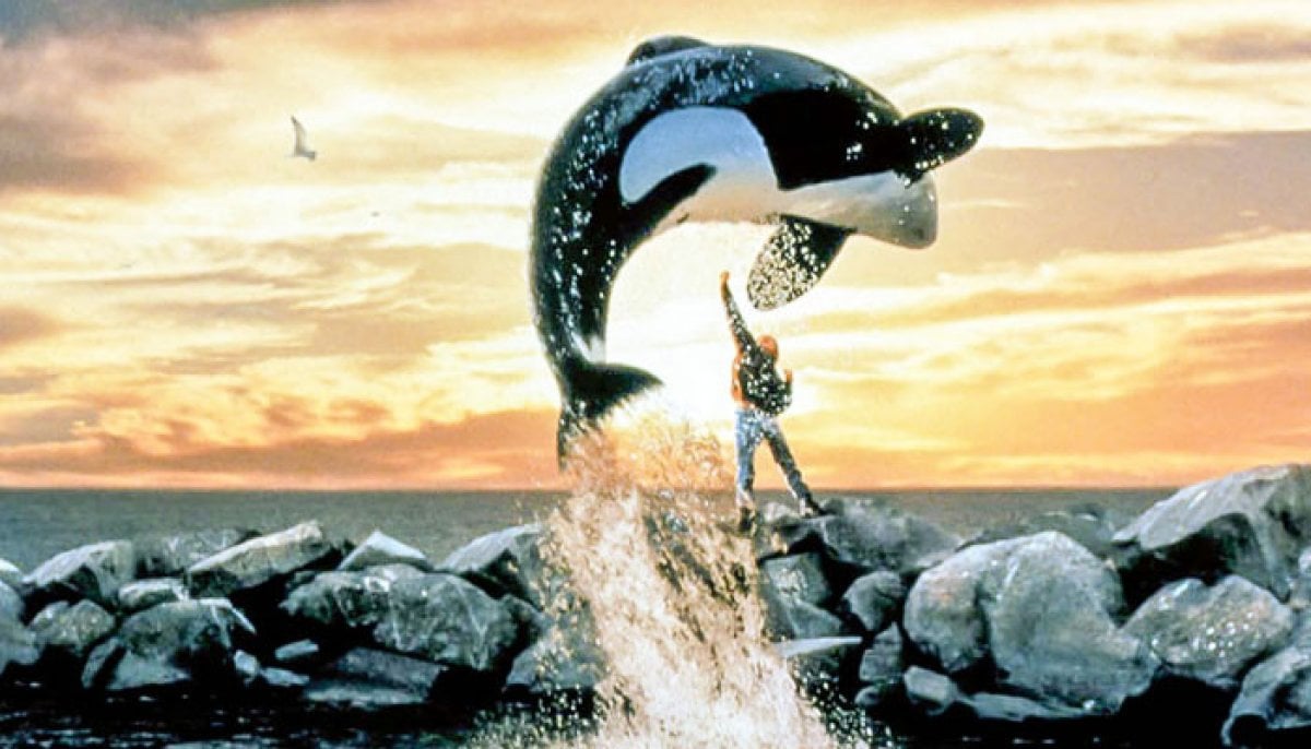 Warner Bros eyes hit Free Willy reboot to recreate '90s hit magic