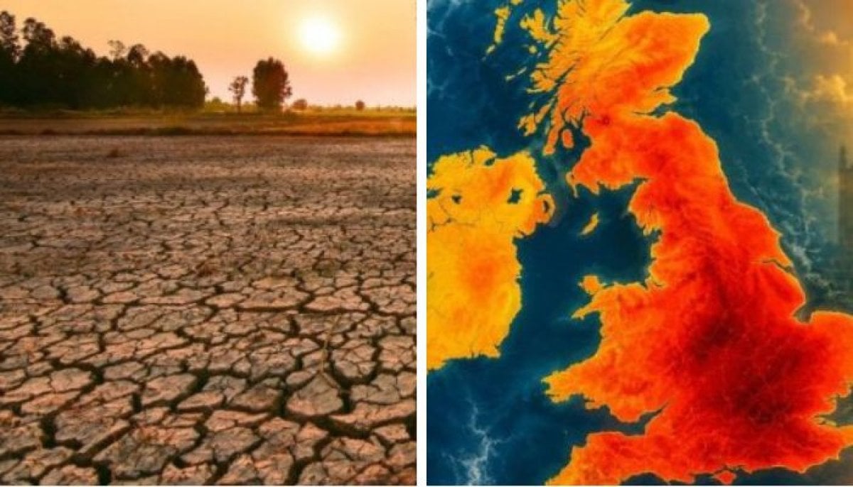 Super 'El Nino' could drive food price surge into 2028, analysts warn