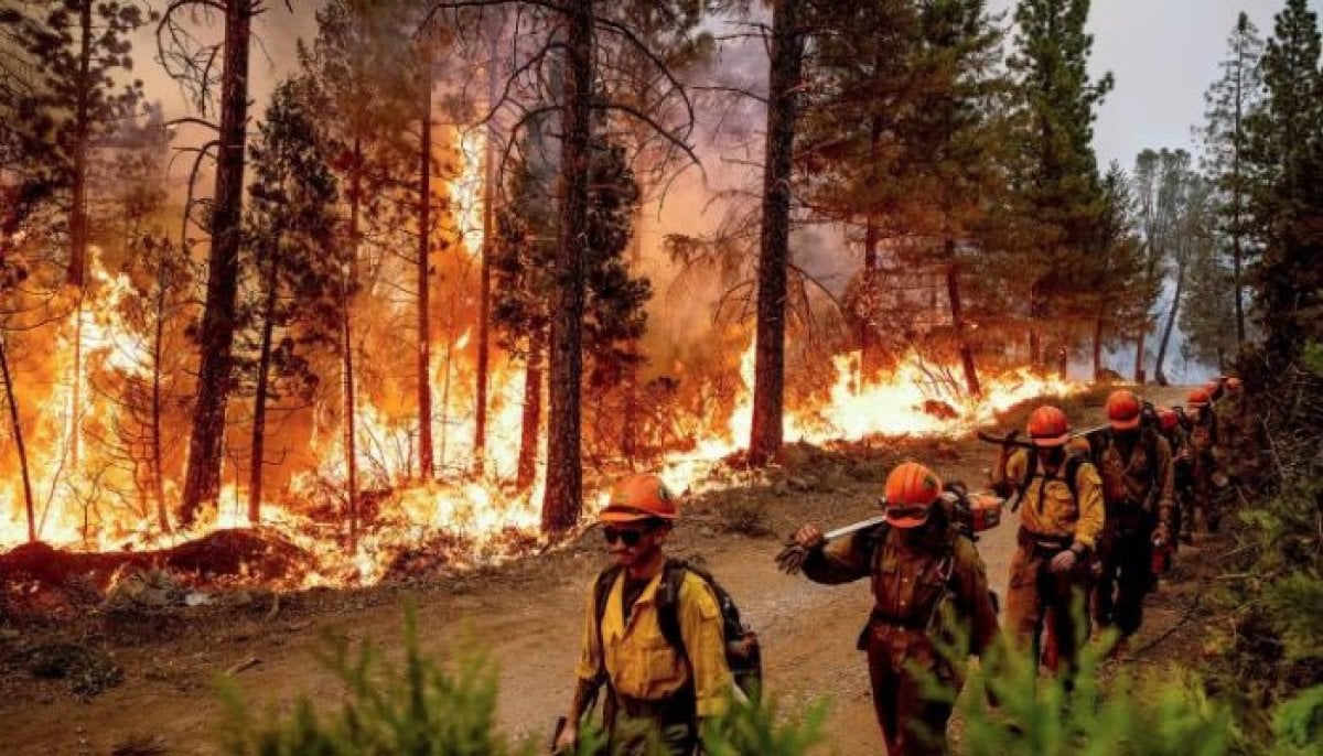 Wildfires rage near Paris, trigger evacuations and major travel disruptions amid heatwave