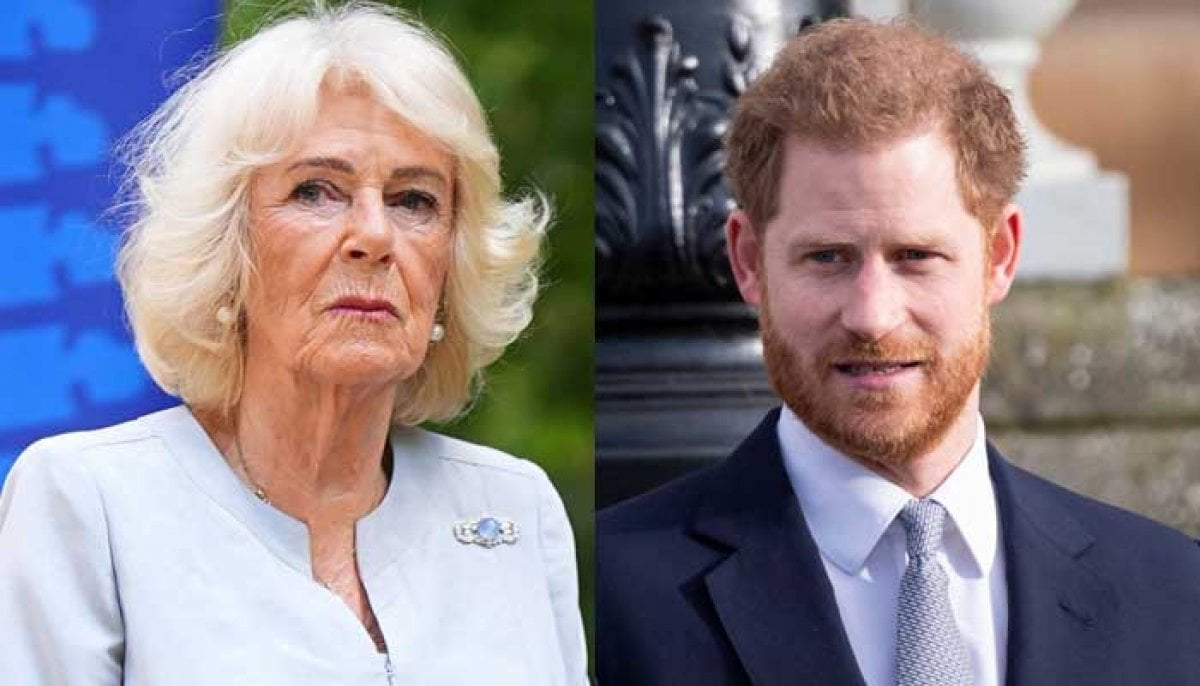Queen Camilla's true feelings about Prince Harry revealed after private UK reunion