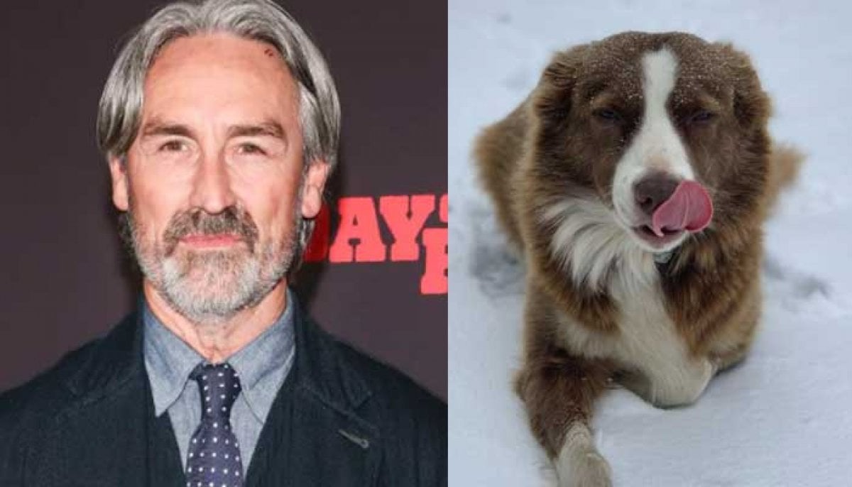 Mike Wolfe left devastated by dog’s death in accident