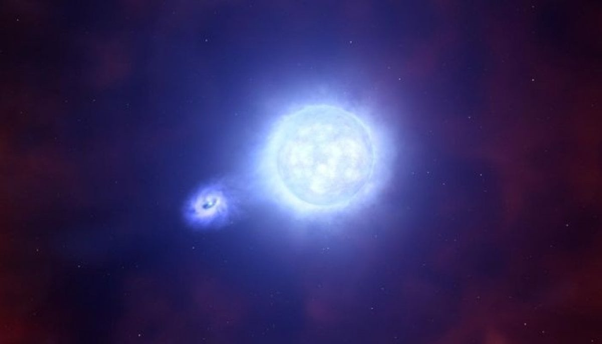 Four hidden dead stars found in Earth's backyard