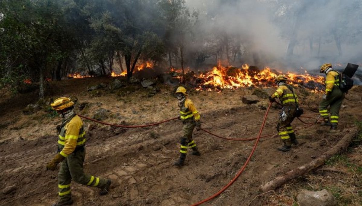 Europe wildfire: Over 300,000 flee as France, Spain battle massive blazes