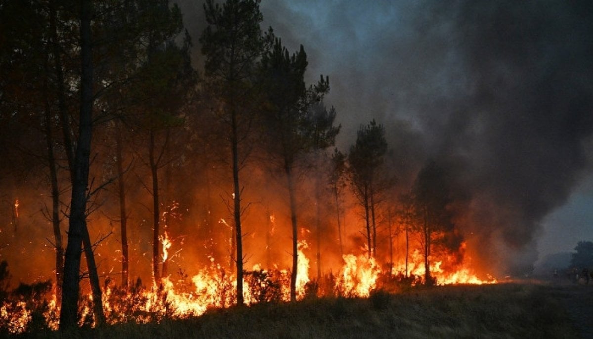 France wildfire reaches outskirts of Bordeaux as thousands evacuated amid heatwave fears
