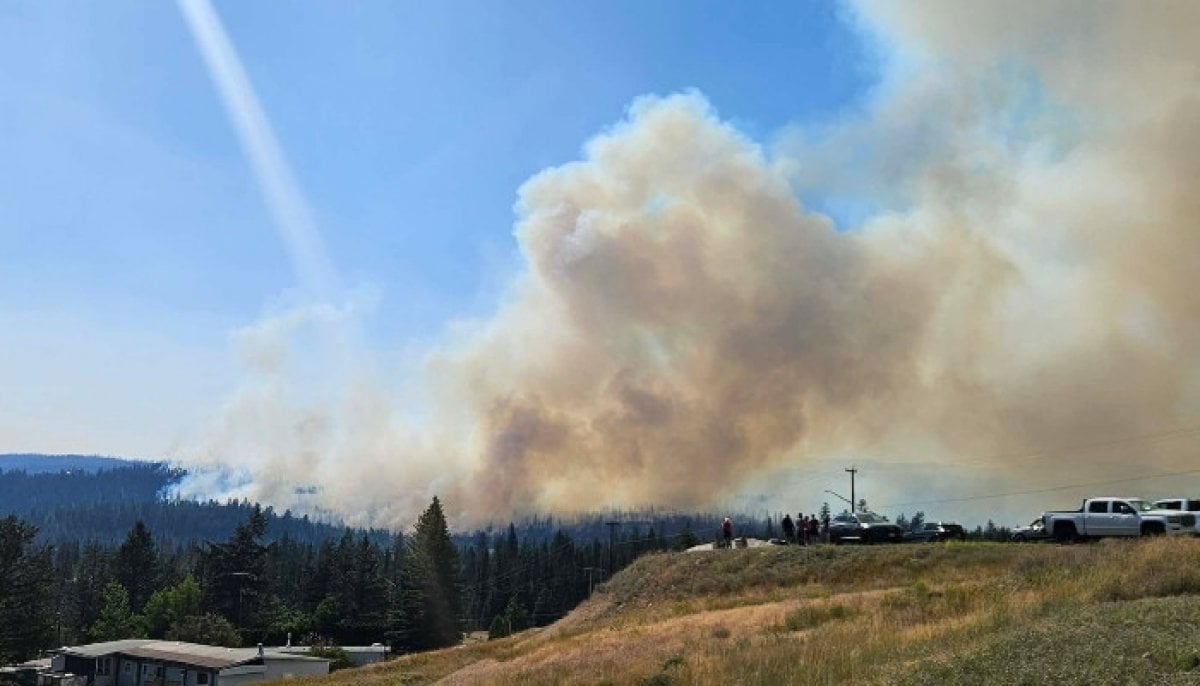 New wildfire near Logan Lake reaches 10 hectares, forces Highway 97C closure