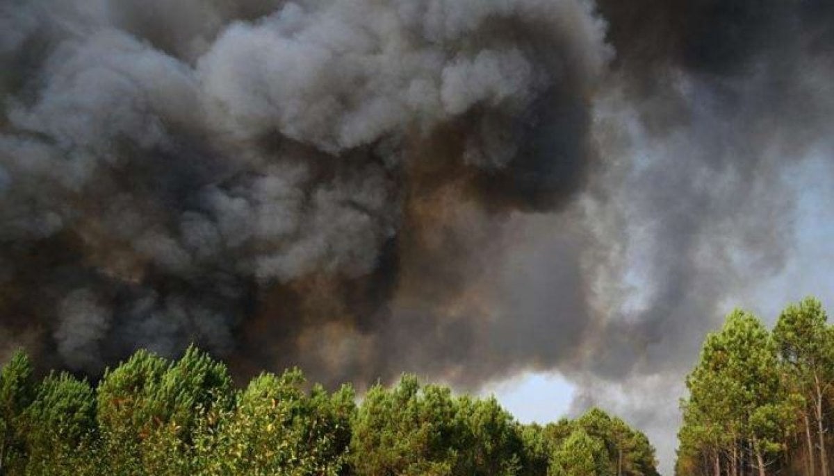 France: Cooler weather, potential rain bring relief to wildfire-ravaged region