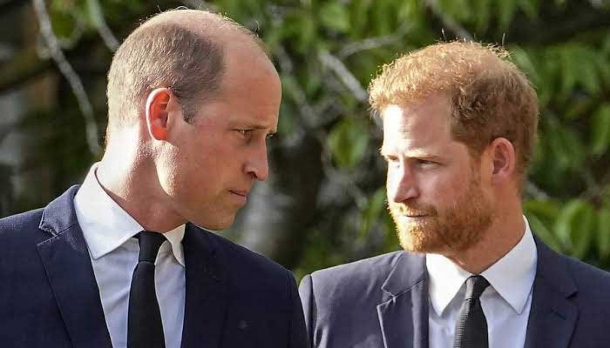 Prince Harry's royal reunion plan raises alarm for Prince William