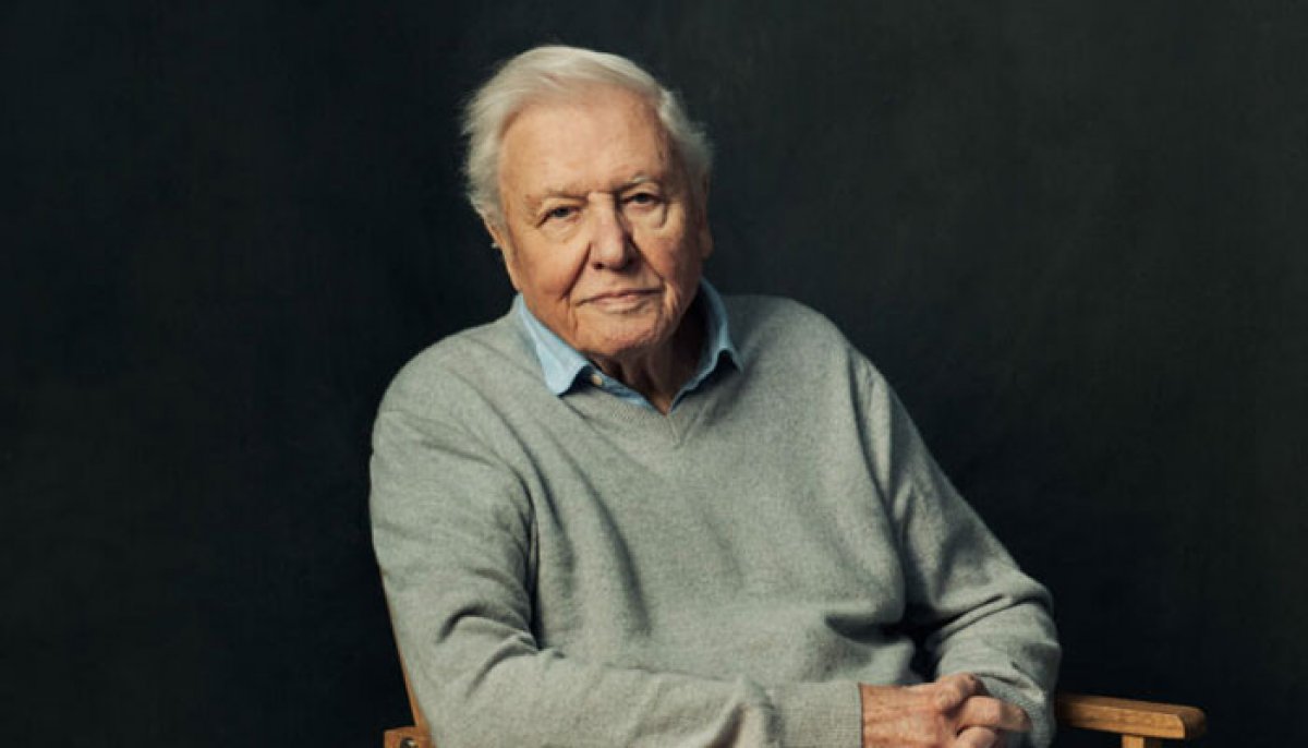 Sir David Attenborough continues to mark milestones at 100 as he receives two major nods