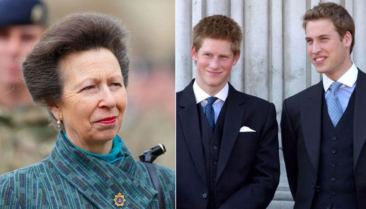 Princess Anne's warning to Prince William, Harry comes to light