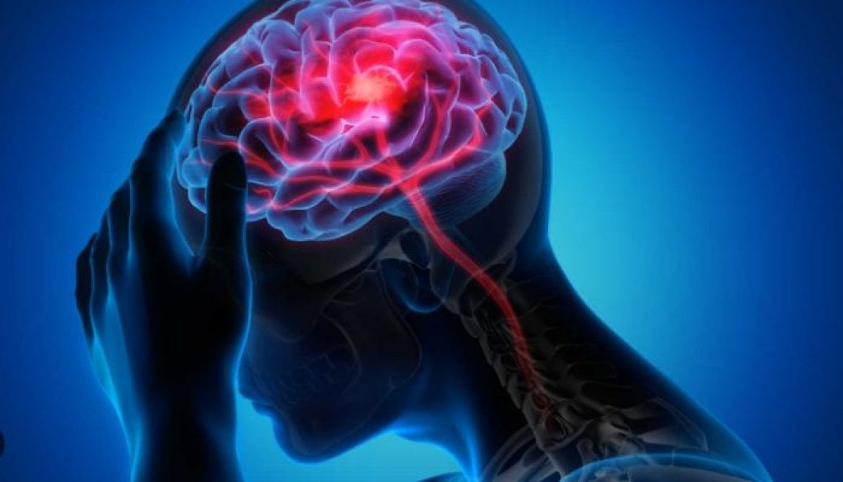 New discovery reveals how the brain could turn off chronic pain