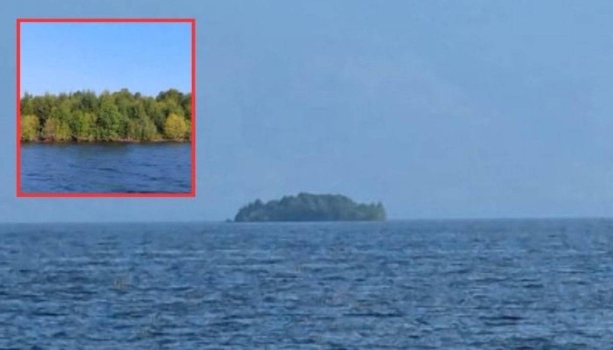 Floating forest island appears in British Columbia reservoir then vanishes: What’s behind the mystery? 