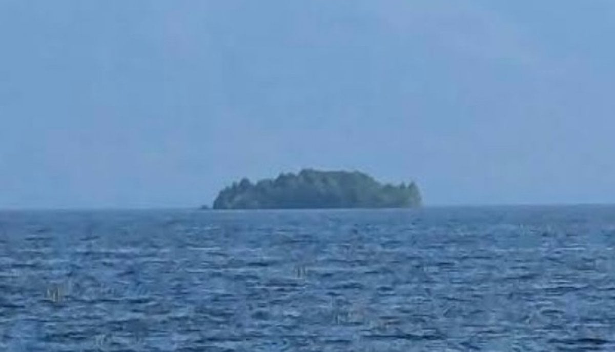 Mysterious floating island bigger than football field reappears in BC lake