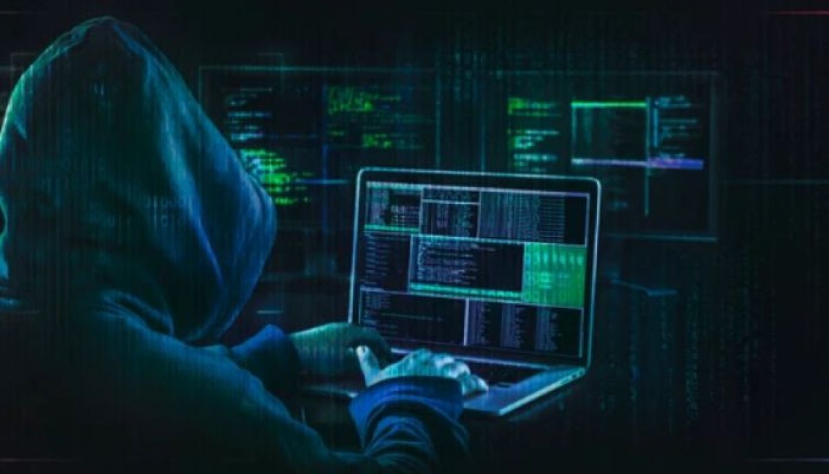 153 million driver's licenses are for sale on dark web: Check details here