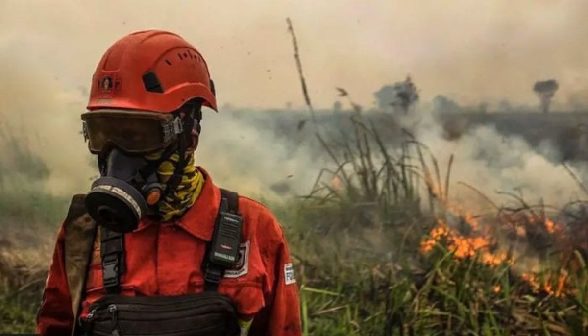 Wildfires and heat waves threaten global air quality, UN weather agency warns