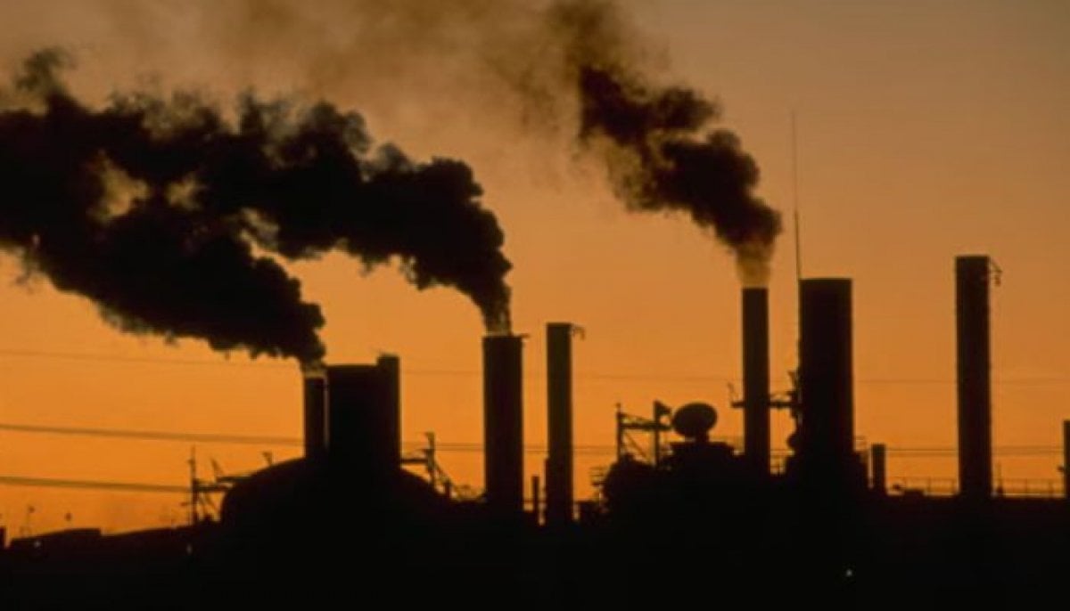 Europe's largest carbon capture facility opens in Netherlands, setting new industrial milestone